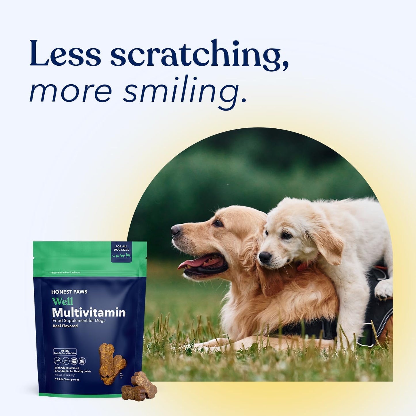 Honest Paws (90 Count) Dog Multivitamin Soft Chews with 10 Essential Vitamins - Joint, Coat, Immune, Eye & Heart Support - with Glucosamine, Chondroitin & Omega-3 - Beef Flavor