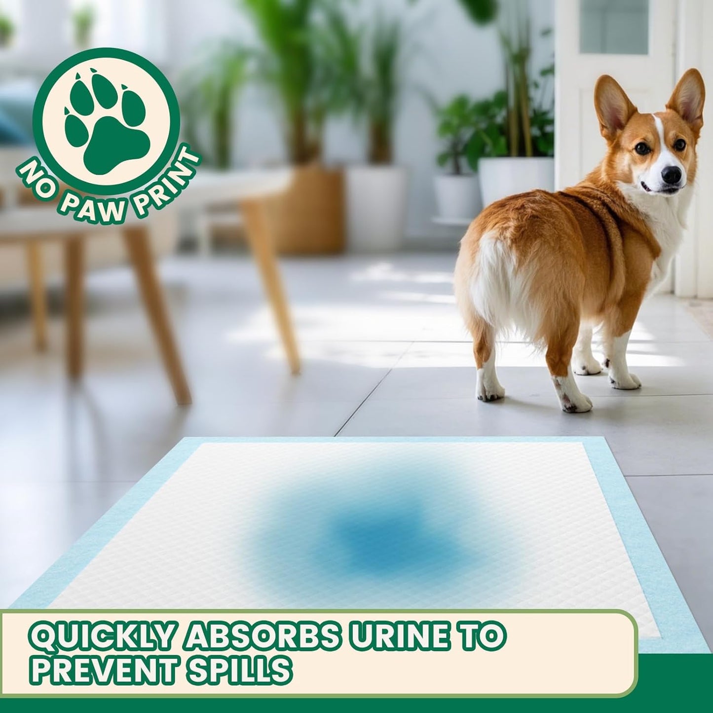 IMMCUTE Puppy Pee Pads 30x28 Inch, 50 Count - Extra Large Super Absorbent Puppy Training Pads with Double Leak-Proof Layer, Thick Disposable Potty Pads for Dogs & Pets Indoor & 0utdoor Use