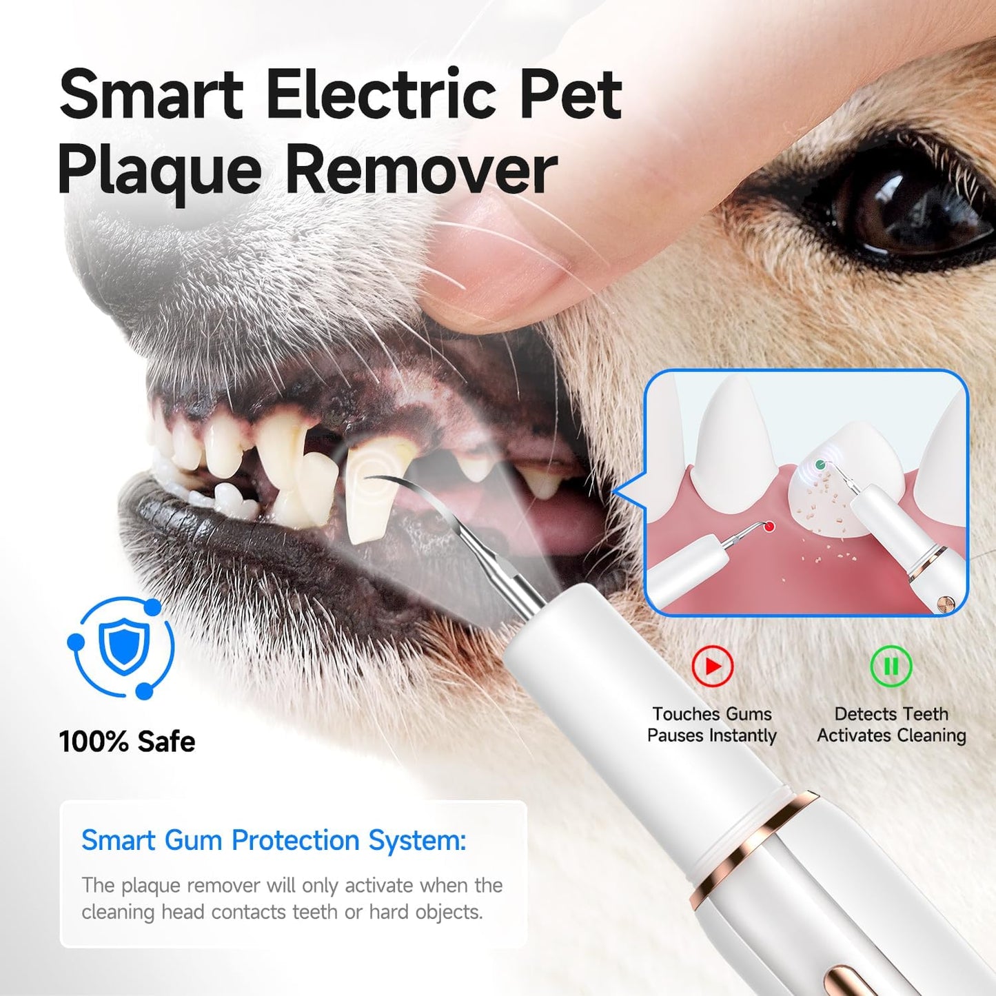 Electric Dog Plaque & Tartar Remover - Pet Teeth Cleaning Kit with 5 Adjustable Modes, LED Light, Safe and Low Noise – Easy at Home Dental Care for Dogs and Cats