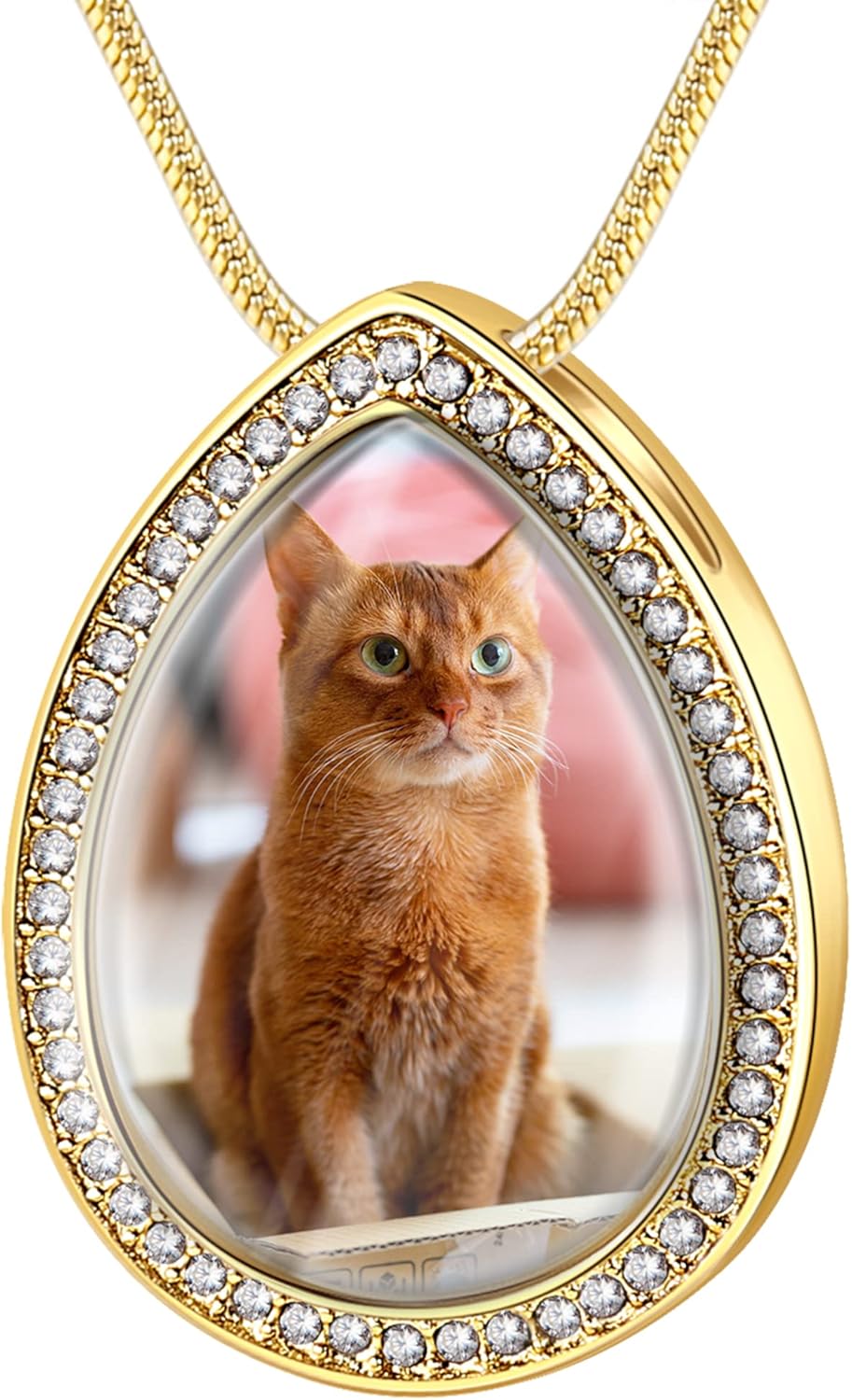 Farfume Personalized Pet Urn Necklace for Dog Cat Ashes Cremation Pet Memorial Customized Photo Text Engraving Pendant Keepsake Funeral Jewelry