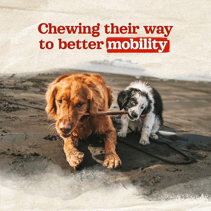 Natural Farm Collagen Dog Chews (12 Inch, 5 Pack), Odor-Free Long Lasting Bully Sticks & Rawhide Alternative Dog Treats, 95% Collagen Low Fat, High Protein – Medium & Large Dogs