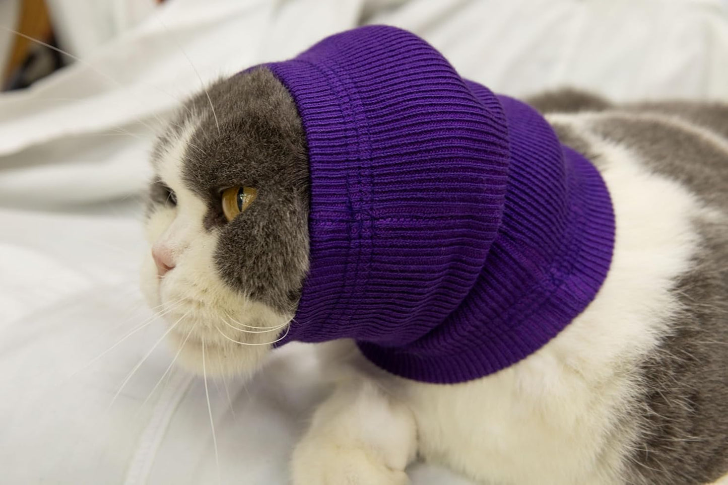 Cat Hematoma Ear Wrap,Cat Ear Wrap Anxiety Relief – Noise Canceling for Fireworks, Thunderstorms, Pet Grooming & Force Drying Blue S