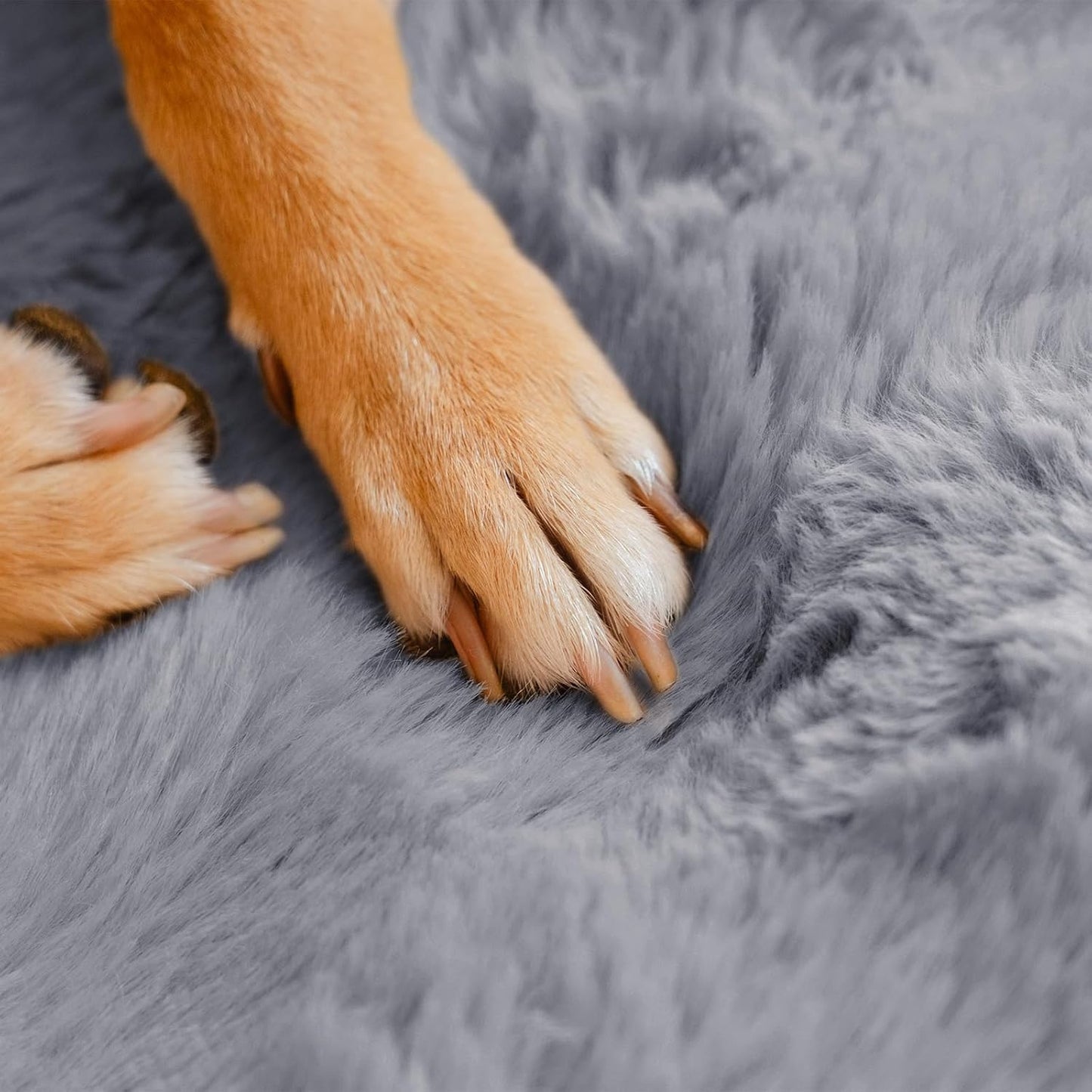 FUNNY FUZZY Fluffy Dog Car Seat Cover for Back Seat (Bench), Water-Resistant with Nonslip Backing,Pet Seat Protector for Cars SUVs Trucks（Gray