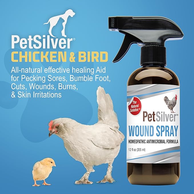 PetSilver Chicken Wound Spray for Chickens & Birds - Patented Silver Solution - Silver Spray for Wounds, Pecking Sores, Bumblefoot, Cuts, Burns, & Skin Irritations - Chicken Care - USA Made - 12 fl oz