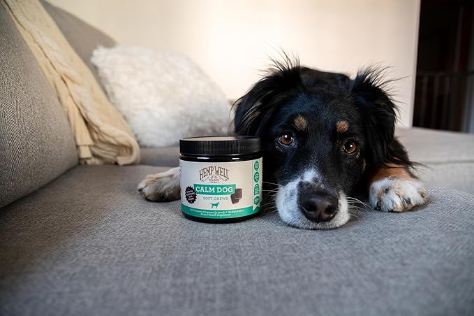 Organically Sourced Hemp Well Calm Dog Soft Chews - Anxiety Relief Treats for Dogs, Helps with Separation Anxiety and Travel, Melatonin and Hemp Dog Calming Chews (1 Pack (30 Chews))