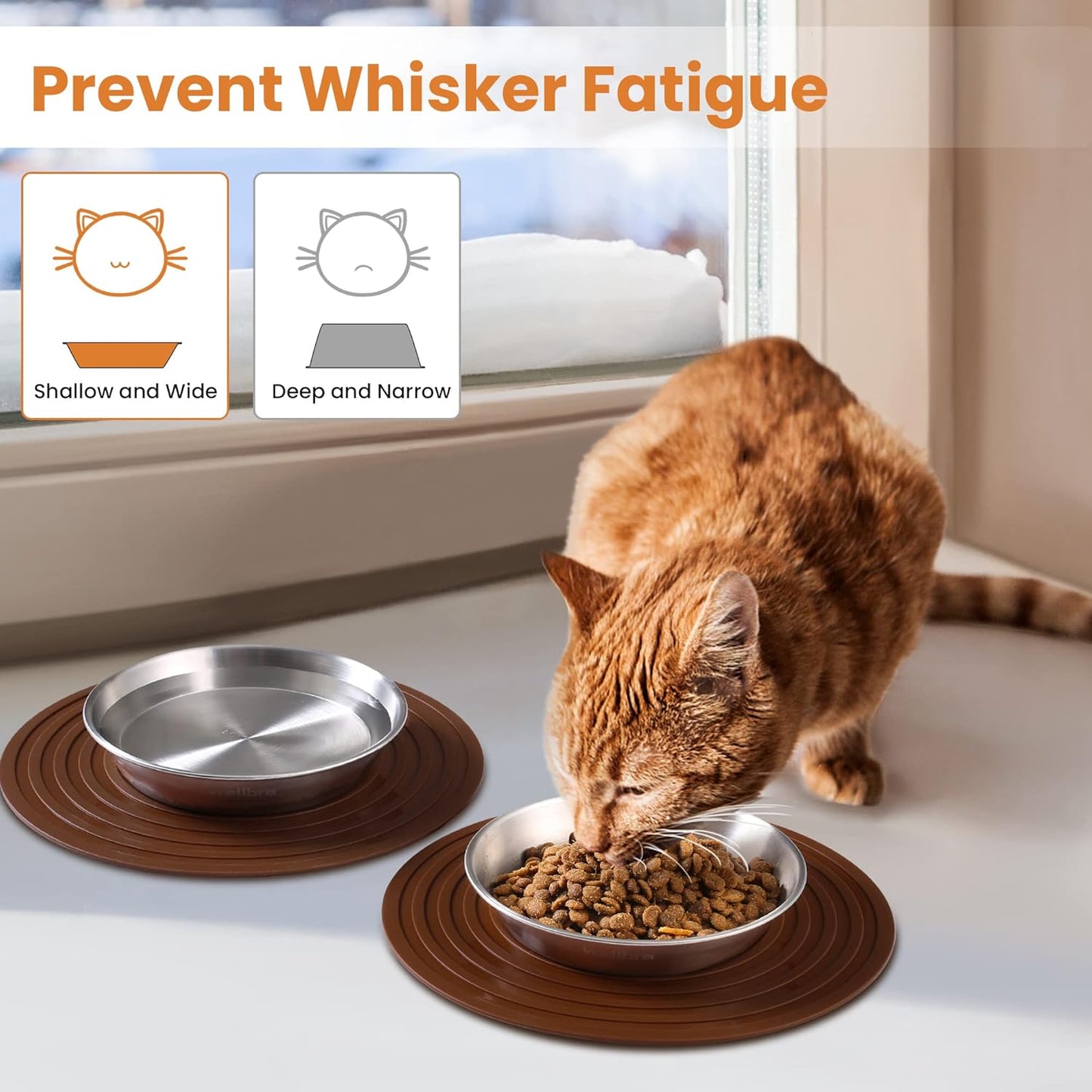 Cat Food Bowls, 2 Pcs Stainless Steel Cat Food and Water Bowls, Whisker Fatigue Shallow Cat Dishes, Small Dog Puppies Fat Faced Cat Kitten Supplies