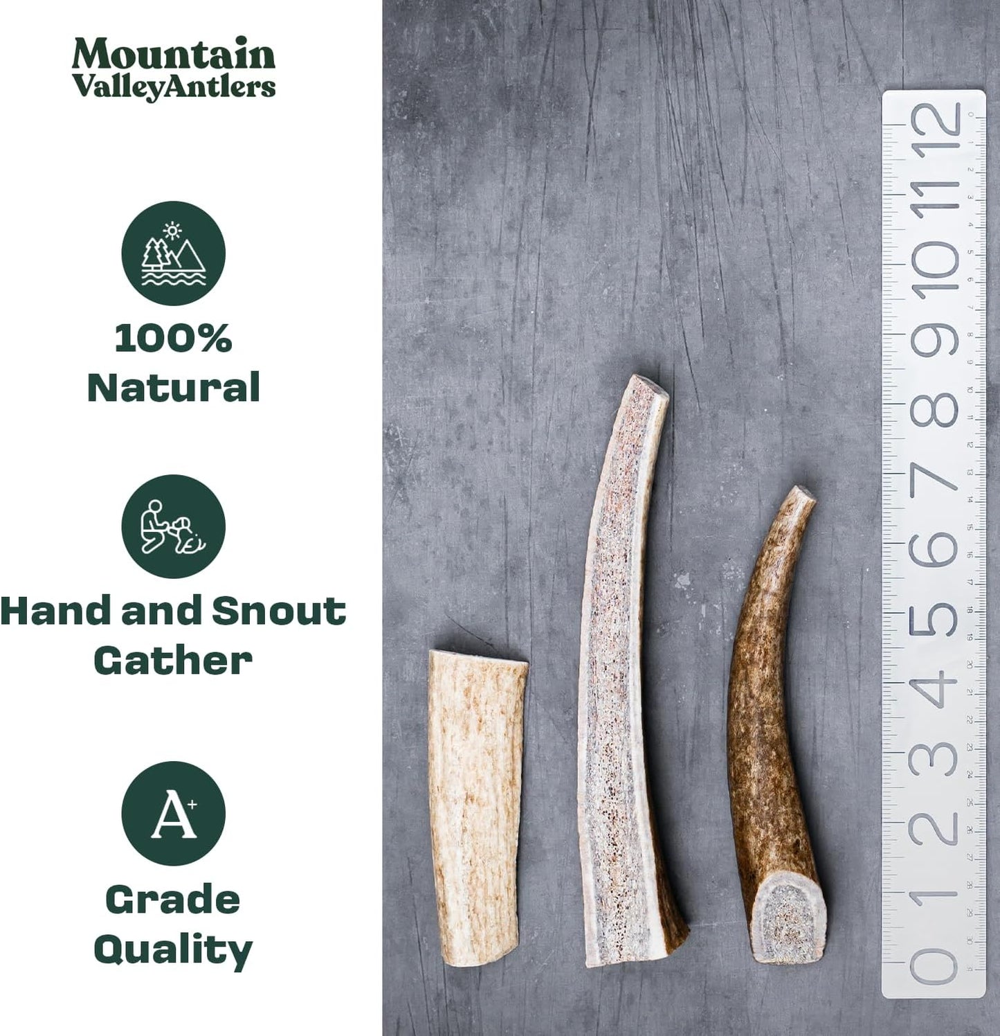 Mountain Valley Mixed Species Antlers for Dogs - 100% Natural & Organic Chew for Aggressive Chewers, No Odor, No Mess, Long Lasting - Wild-Foraged Naturally Shed Antler in USA - Grade A Pack (1 LB)