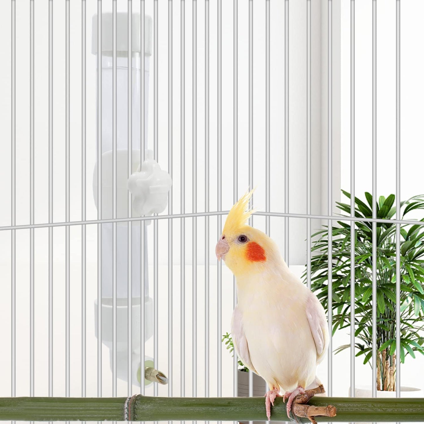Bird Water Dispenser Parrot Waterer Automatic Bird Water Feeder for Medium Birds Parakeet Cockatiel Conure Caique (Medium)