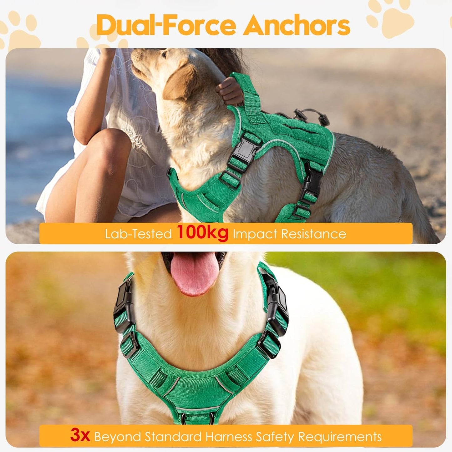 Heavy-Duty Tactical Dog Harness for Large Dogs, No Pull Adjustable Reflective Pet Vest with Molle System, K9 Military-Grade Control for Service Training, Outdoor & 10+ Breeds, Turquoise, Small