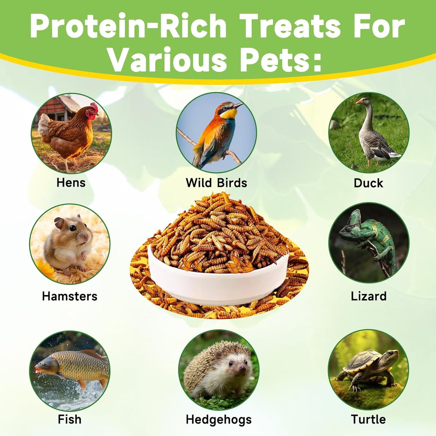 2LB Dried Black Soldier Fly Larvae Treat for Chicken, 100% Natural Non-GMO More Calcium Than Dried Mealworms High Protein Chicken Feed for Birds, Ducks, Layer Hens