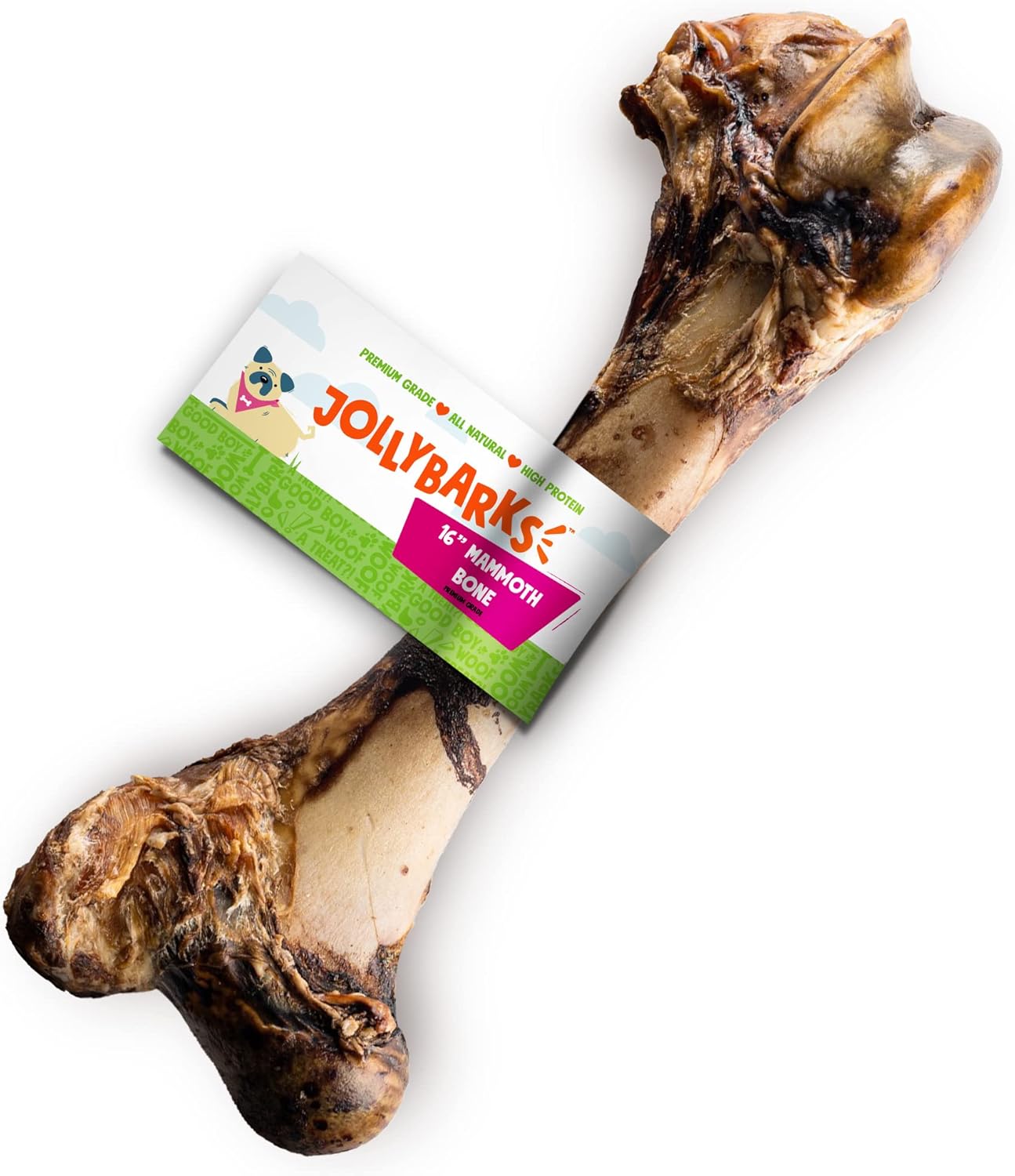 Mammoth Big Dog Bones for Large Dog Bone, 16" Femur Beef Bones for Agressive Chewers, Natural Giant Dog Bone (1 Pack)
