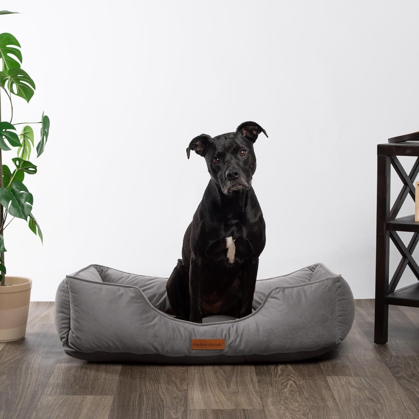 Modern Threads Luxury Dog Bed - Comfortable Tufted Velvet Cushion for Small to Large Dogs - Machine Washable - Durable & Cute Sleep Space for Pets - Pamper Your Pet with Cozy Beds - Charcoal