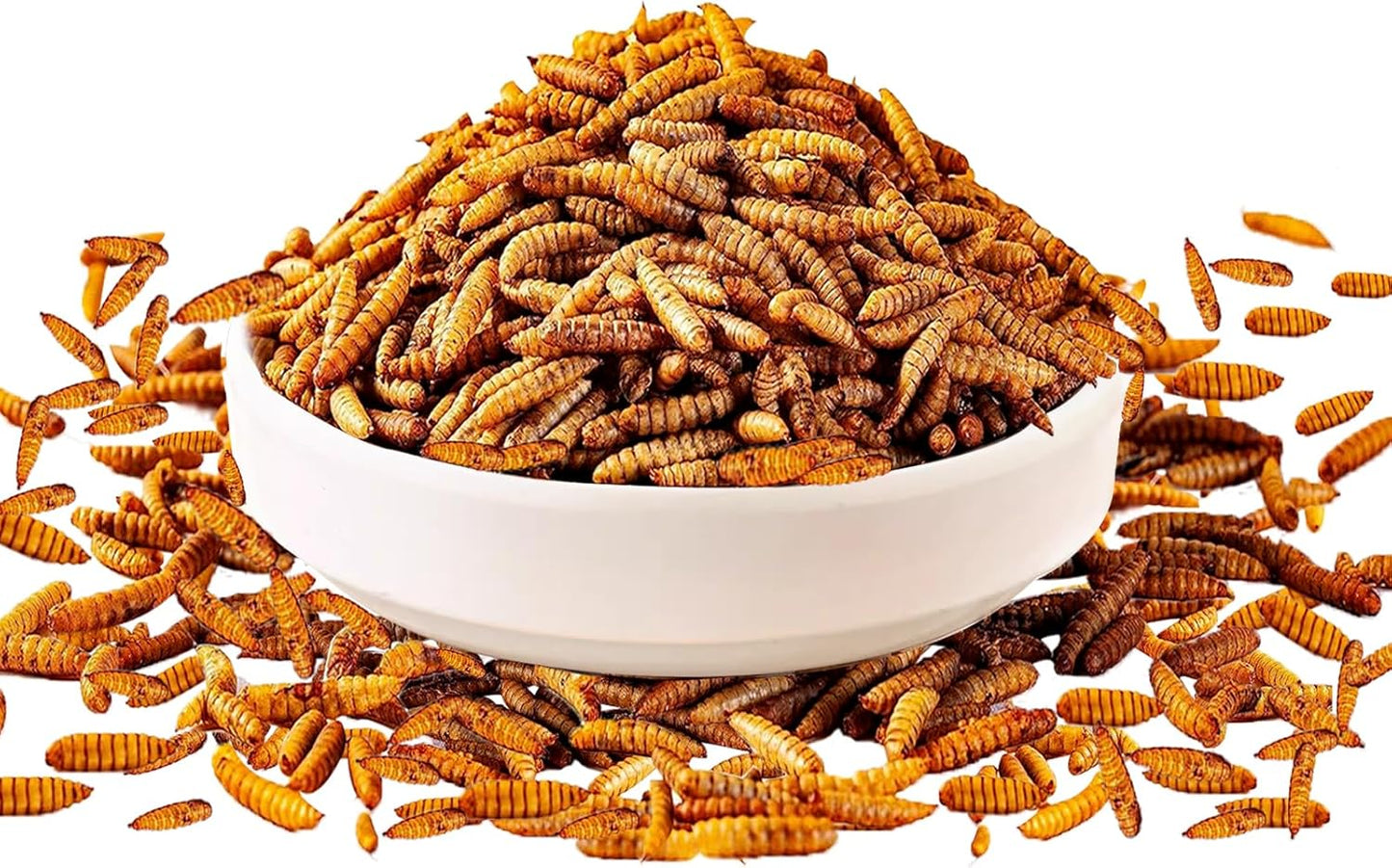 9LB Dried Black Soldier Fly Larvae Treat for Chicken, 100% Natural Non-GMO More Calcium Than Dried Mealworms High Protein Chicken Feed for Birds, Ducks, Layer Hens