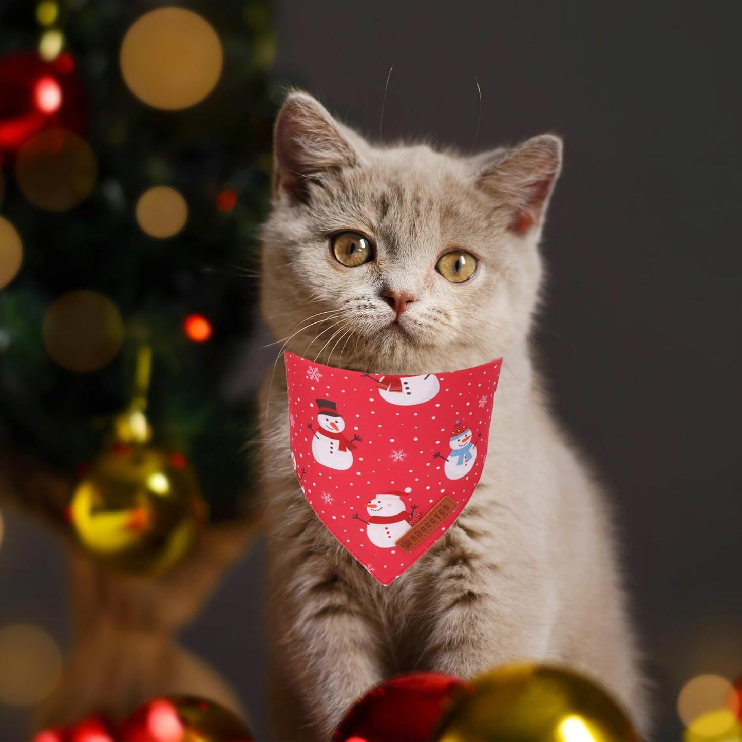 ADOGGYGO Christmas Cat Bandanas 2 Pack, Red Green Snowman Christmas Tree Bandanas for Cat Kitten