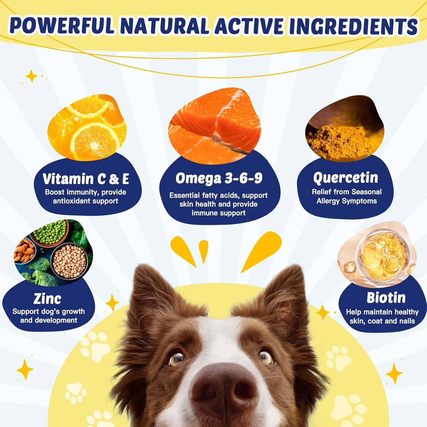 Omega 3 for Dogs with Salmon Oil, Fish Oil for Dogs Skin and Coat Supplement, Dog Allergy Relief, Hot Spot Treatment, Anti Shedding, Hip & Joint Support with EPA & DHA, Biotin, Vitamin E