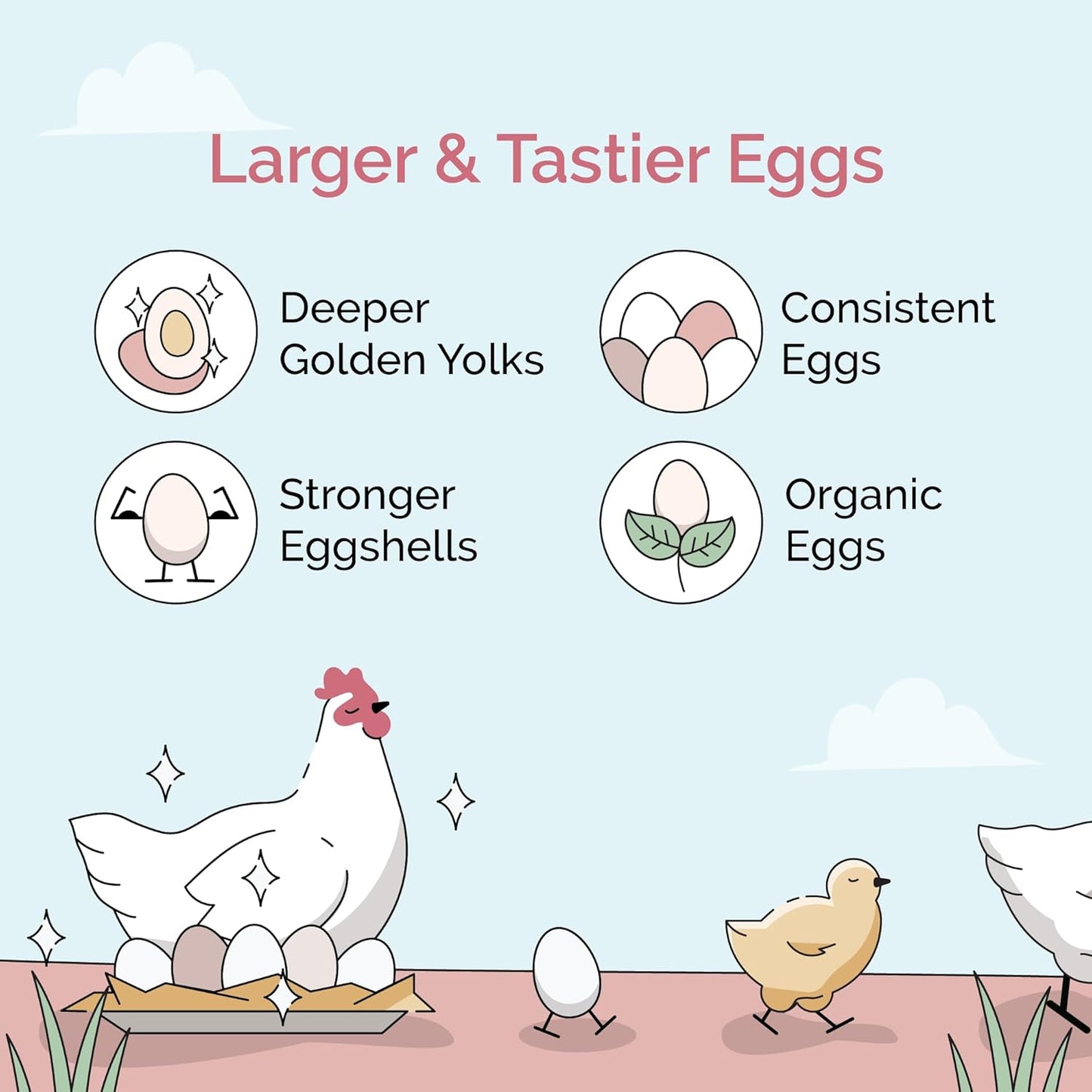 Layer Organic Chicken Feed