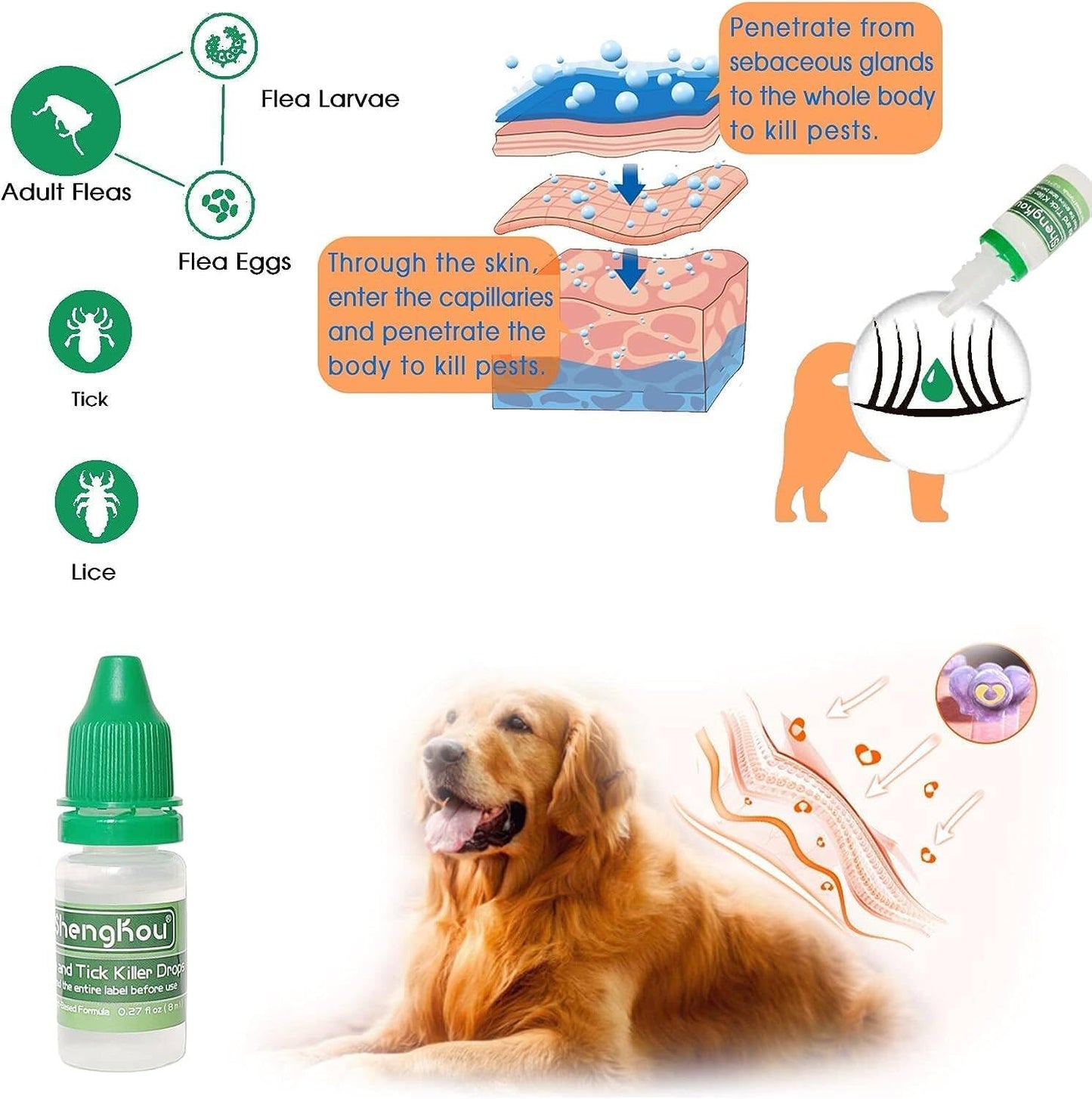 Natural Flea & Tick Treatment for Large Dogs (45-88 lbs) | 6-Month Protection + Free Tools | Vet-Reviewed Formula