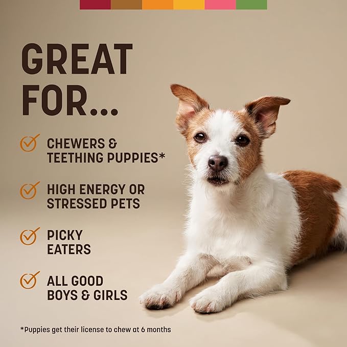 Earth Animal No Hide Small Long Lasting Dog Chew Rolls, Beef, Chicken and Salmon Variety Pack - 6 Count