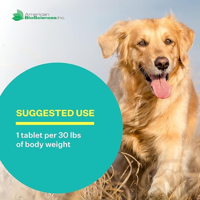 DGP, All-Natural Joint Supplement for Dogs - Joint Support with Turmeric, Boswellia Extract & More - Quick Effect for Pet Mobility Support - 180 Chewable Tablets (Pack of 3)