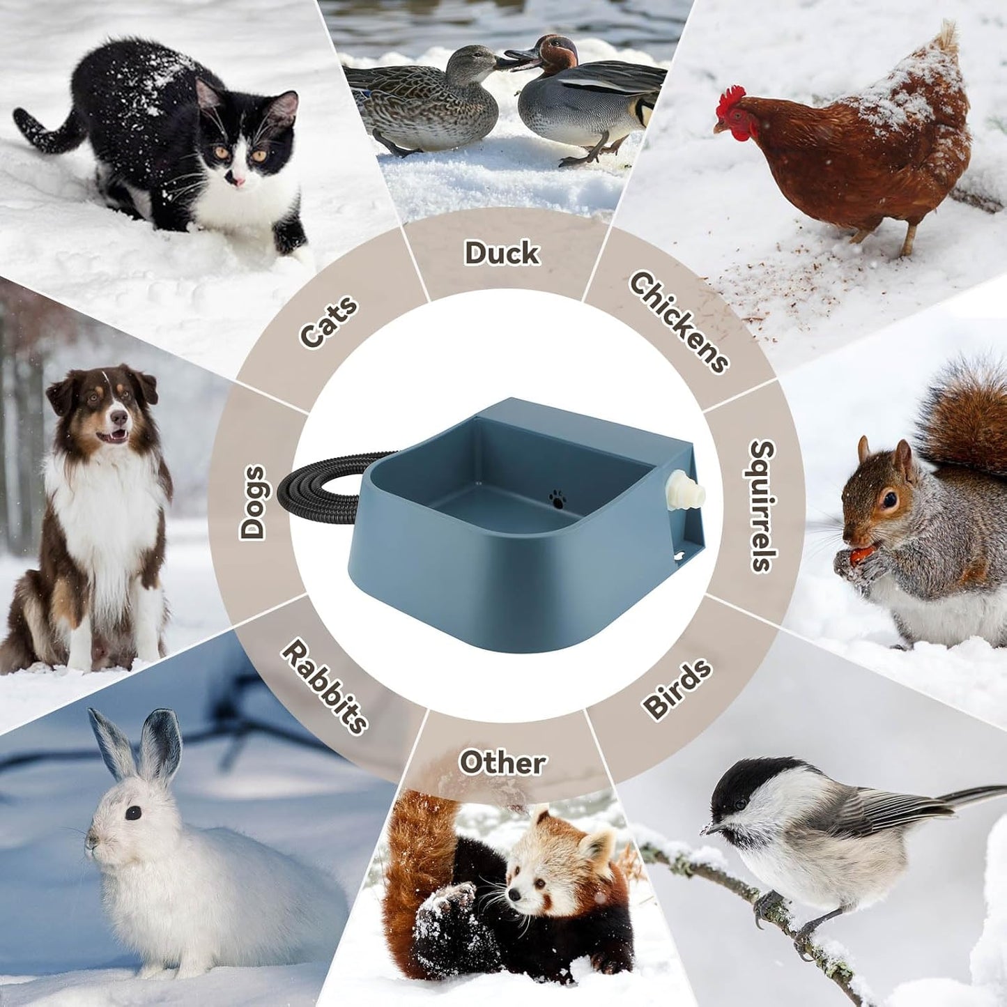 NAMSAN Automatic Water Dispenser for Dogs with Heater, Outdoor and Indoor, 2L Heated Water Bowl, Heated Watering Trough for Cats Chickens Rabbits Birds Bath Auto-Fill