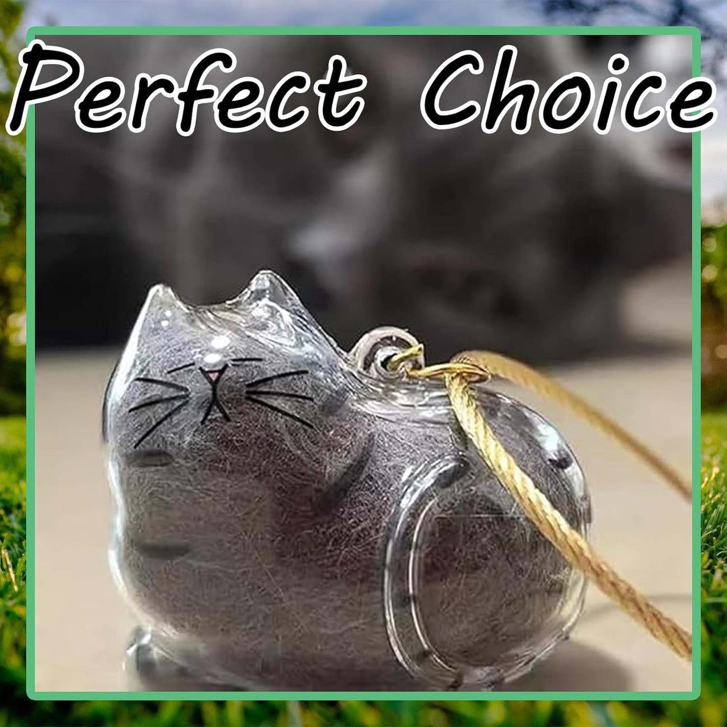 Cat Hair Holder Keychain,Cat Hair Memorial Keyring,Cats keychain Hair Storage Bottle,Transparent Cats Hairs Pendants