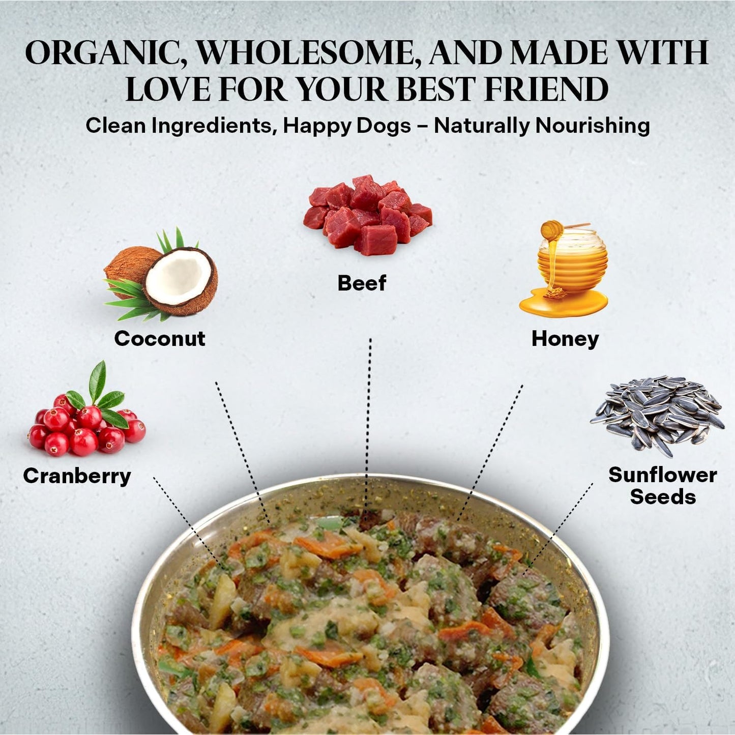 Healthy Dogma - PetMix Dehydrated Dog Food - Beef Dinner - Raw Food - Gluten Free, Clean Ingredient Food - No Preservatives, Homemade Dog Food Beef Recipe (2 lbs)