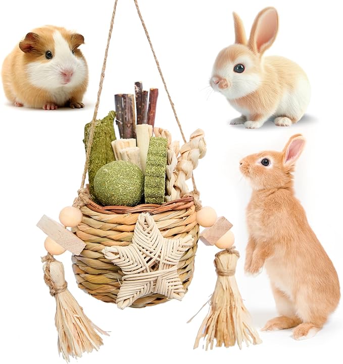 Natural Reedgrass Chew Toy Basket for Small Pets – Hanging Rodent Dental Toys with Hay Lollipop, Apple Sticks, Sweet Bamboo (Hamsters, Rabbits, Chinchillas, Guinea Pigs)