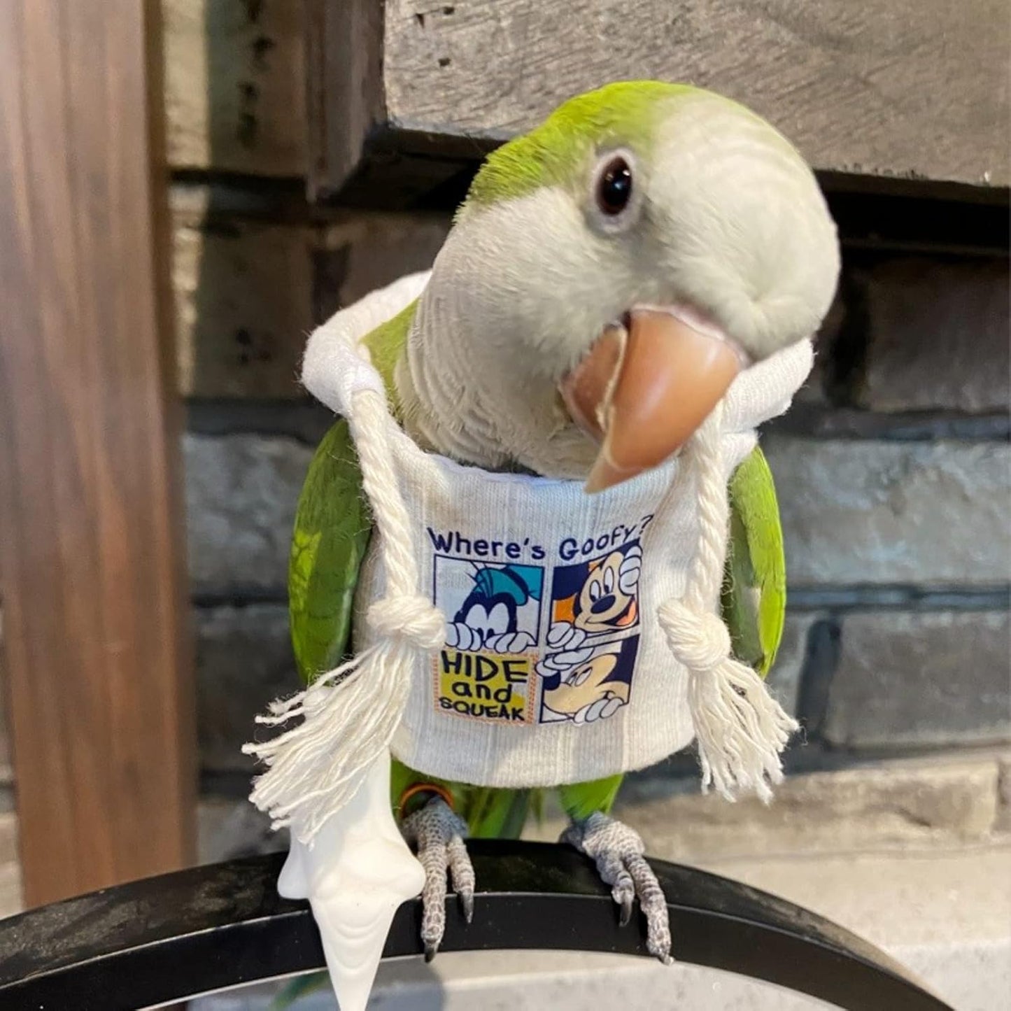 Bird Hoodie, Flight Suit for Parrots, Large, White with Hat, Polyester-Cotton, All Life Stages, Bird Apparel