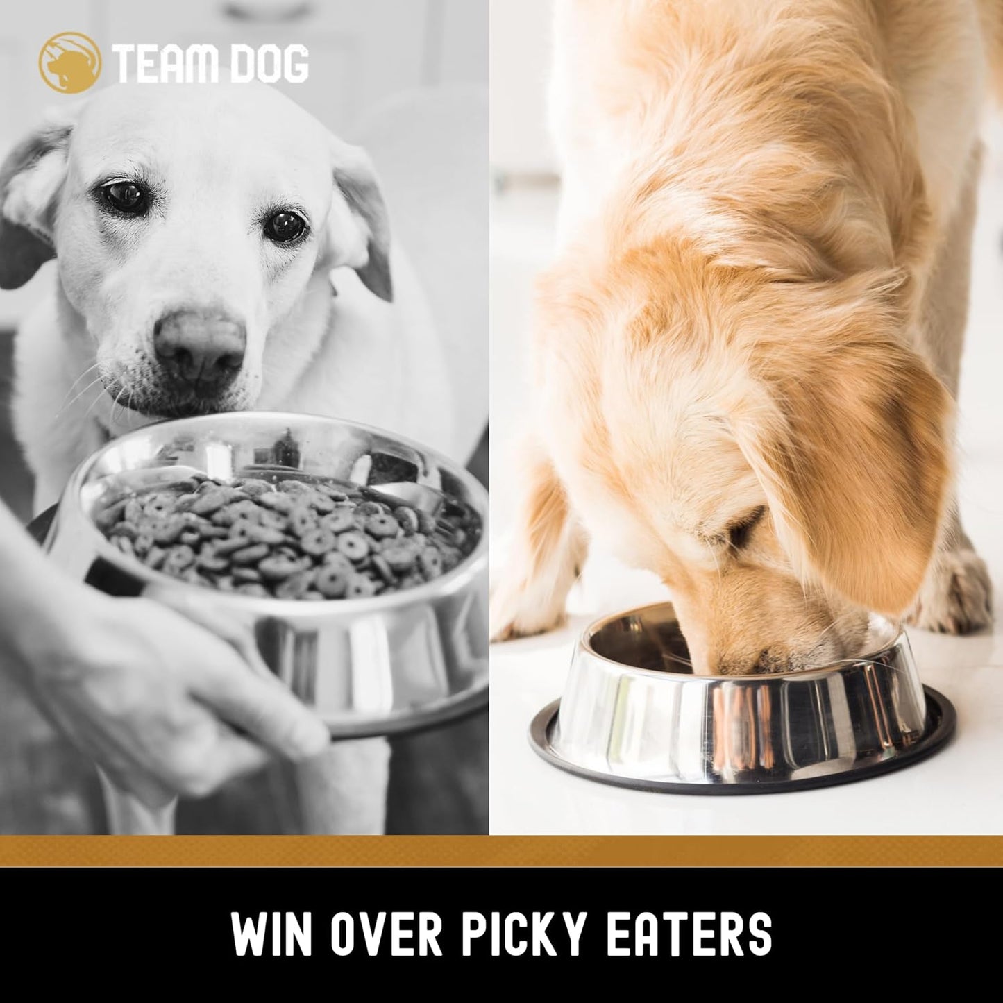 Team Dog Freeze Dried Raw Dog Food Topper | Wild Boar & Venison Liver Dog Food Seasoning | Wet & Dry Dog Food Toppers for Picky Eaters | 5 Oz