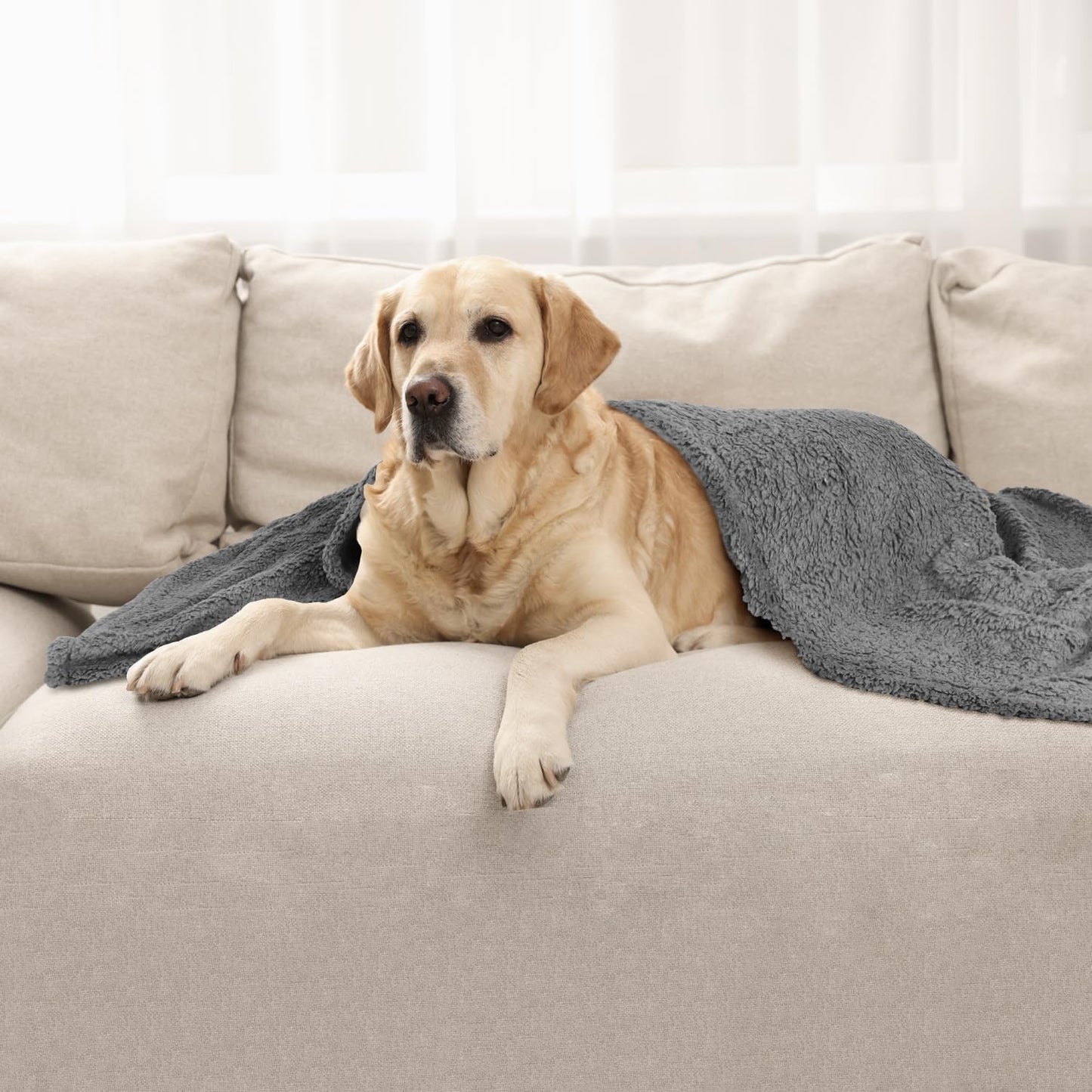 furrybaby Dog Blanket Soft Dog Blankets for Large Dogs Puppy Essentials Washable Sherpa Fleece Cat Blanket 41x65 Inches for Bed Furniture Couch Sofa (X Large, Grey)