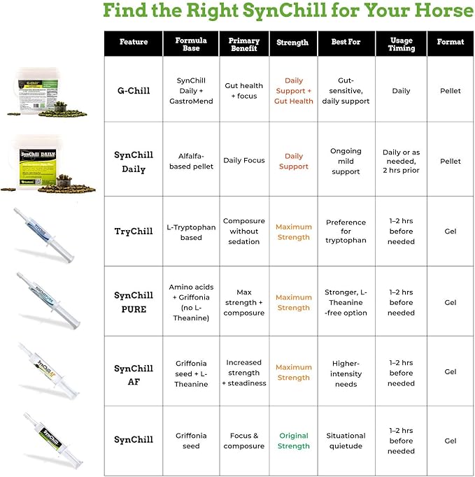 SynChill Oral Horse Calming Gel, 100% Natural & Nutritional Supplement, Lab Proven Results, Designed for Peak Focus & Performance, Approved by Veterinarians, FEI Compliant & Made in USA - 12-Pack