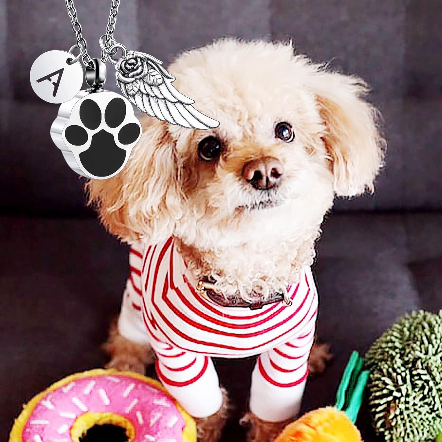 Personalized Urn Necklace for Pet Ashes Custom Photo/Name/Date Paw Print Pendant for Women Men Cremation Jewelry Memorial Keepsake for Dog/Cat/Pet Urn Necklace with Funnel Fill Kit