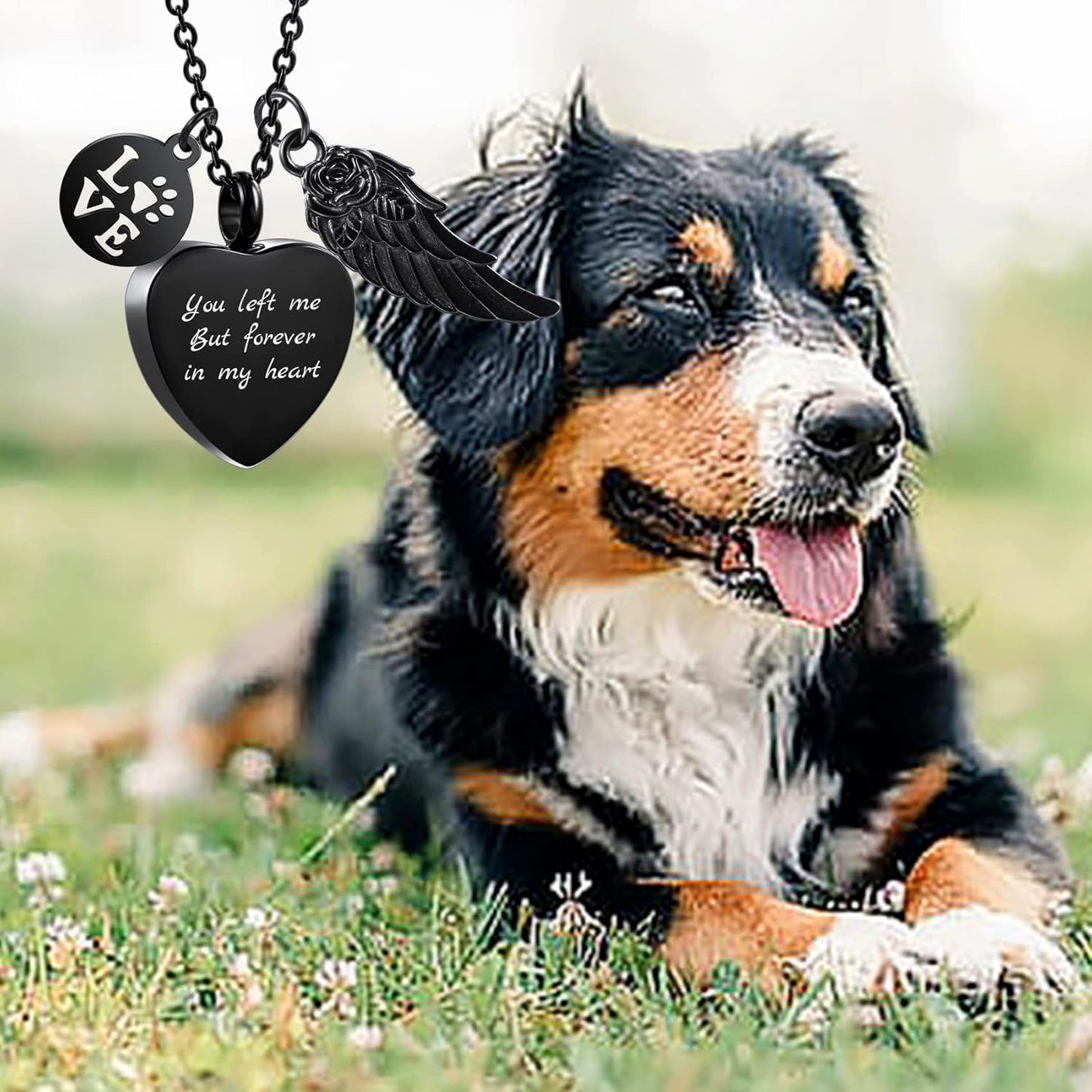 Personalized Urn Necklace for Pet Ashes Custom Photo/Name/Date Paw Print Pendant for Women Men Cremation Jewelry Memorial Keepsake for Dog/Cat/Pet Urn Necklace with Funnel Fill Kit
