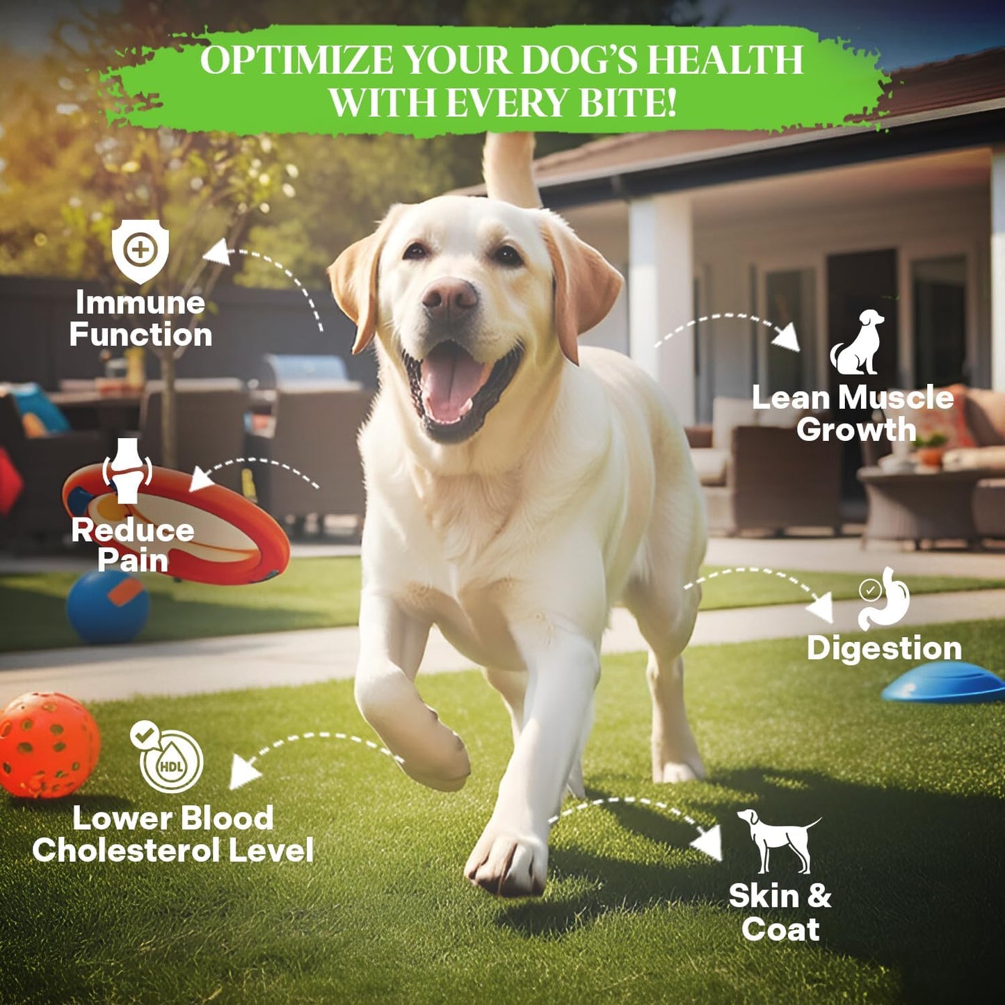 Healthy Dogma - PetMix Dehydrated Dog Food for Allergies - Grain Free, Freeze Dried, Raw, Homemade Dog Food (Chicken Dinner, 10 lbs)