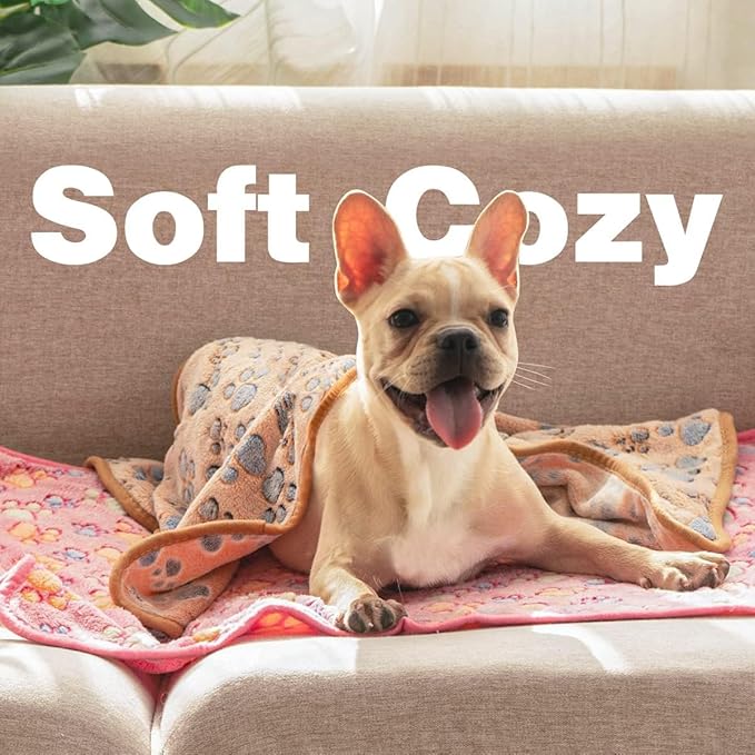 Pet Soft 1 Pack 3 Pet Blankets for Dogs - Fluffy Cats Dogs Blanket for Small Medium & Large Dog, Cute Print Pet Throw Puppy Blankets Fleece (Paws, 3XXL)