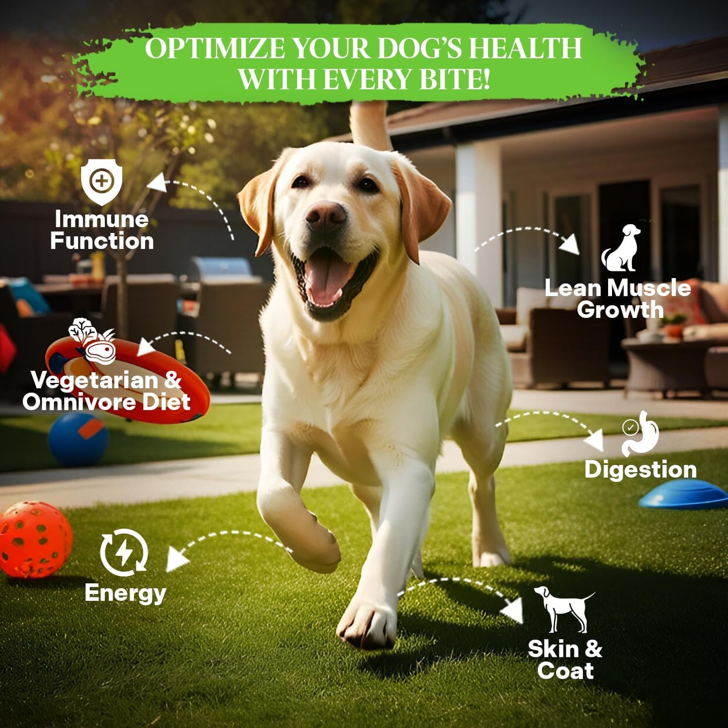 Healthy Dogma - PetMix Dehydrated Dog Food, Clean Ingredient Food - No Preservatives, Homemade Dog Food (Super Green, 10 lbs)