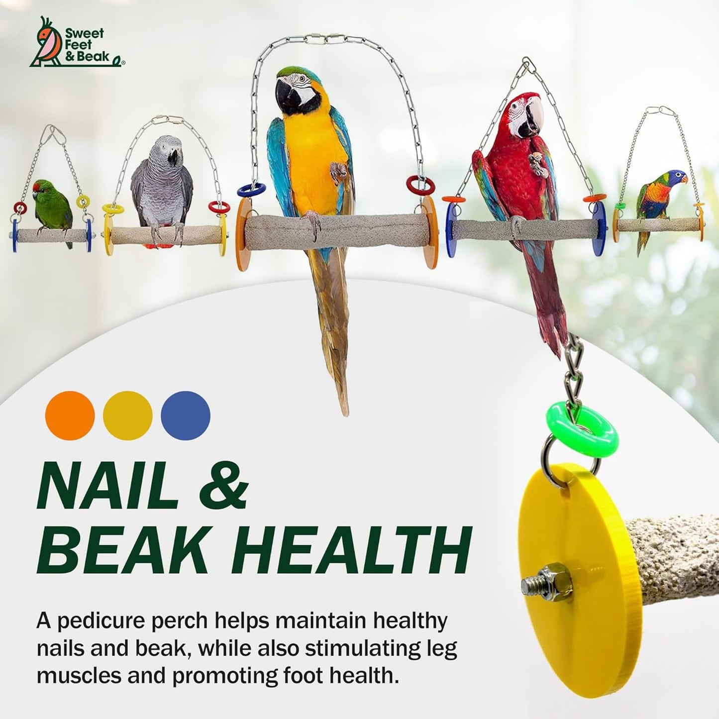 Bird Swing - Pumice Perch Trims Nails and Beaks, Safe and Non-Toxic, For Small and Large Birds, 10.5 Inches