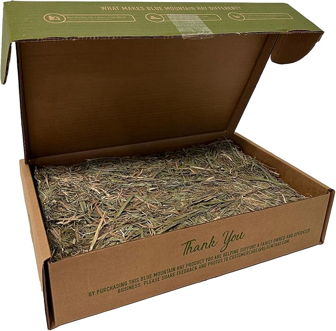 Blue Mountain Hay | Fresh Timothy Hay (10 Pounds) | Great for All Ages | High-Altitude Hay Pet Food for Rabbits, Guinea Pigs, Chinchillas, Hamsters, and Other Small Pets