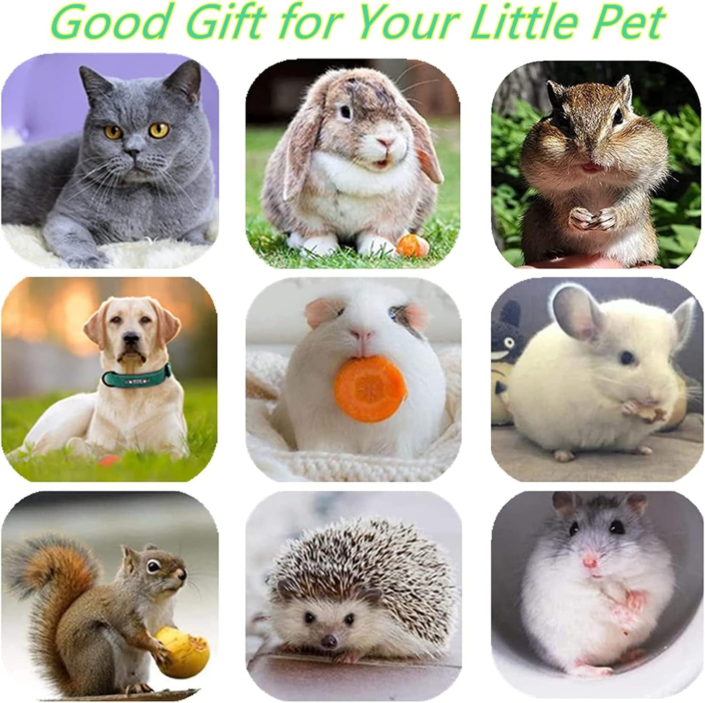 Cat Toys, 12pack Silvervine Cat Feather Toy Kitten Chew Stick Catnip Treat with Bell for Cleaning Teeth Indoor Kitty Teaser Wand Molar Snack for Interactive Pet Pig-1