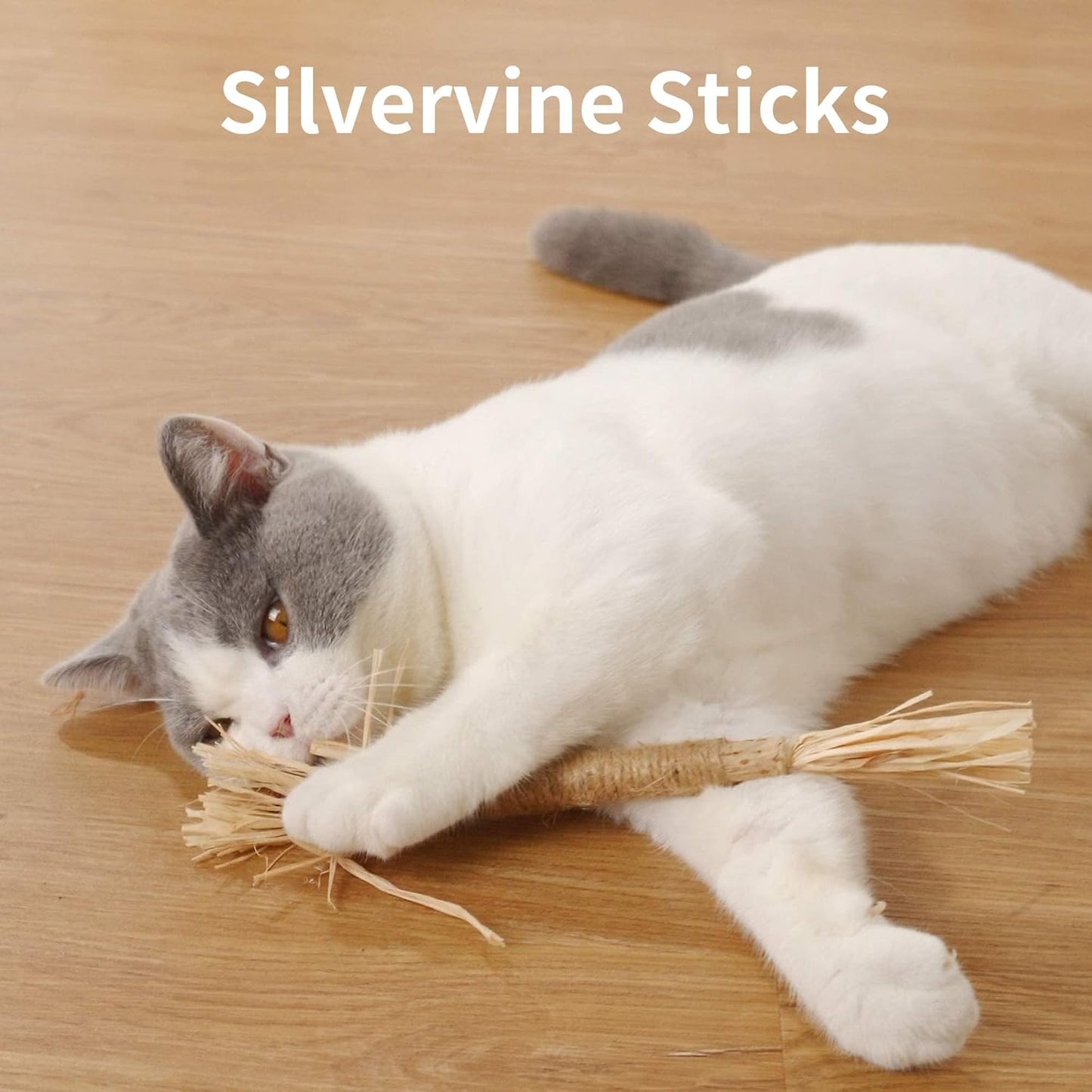 PAZ'S GIFT Catnip Toy Cat Toys Catnip Toy cat chew Toy cat Kicking silvervine Stick Teeth Cleaning Cute Kitten Teething Indoor Interactivecat Dental Care Matatabi (Raffia 2pcs)