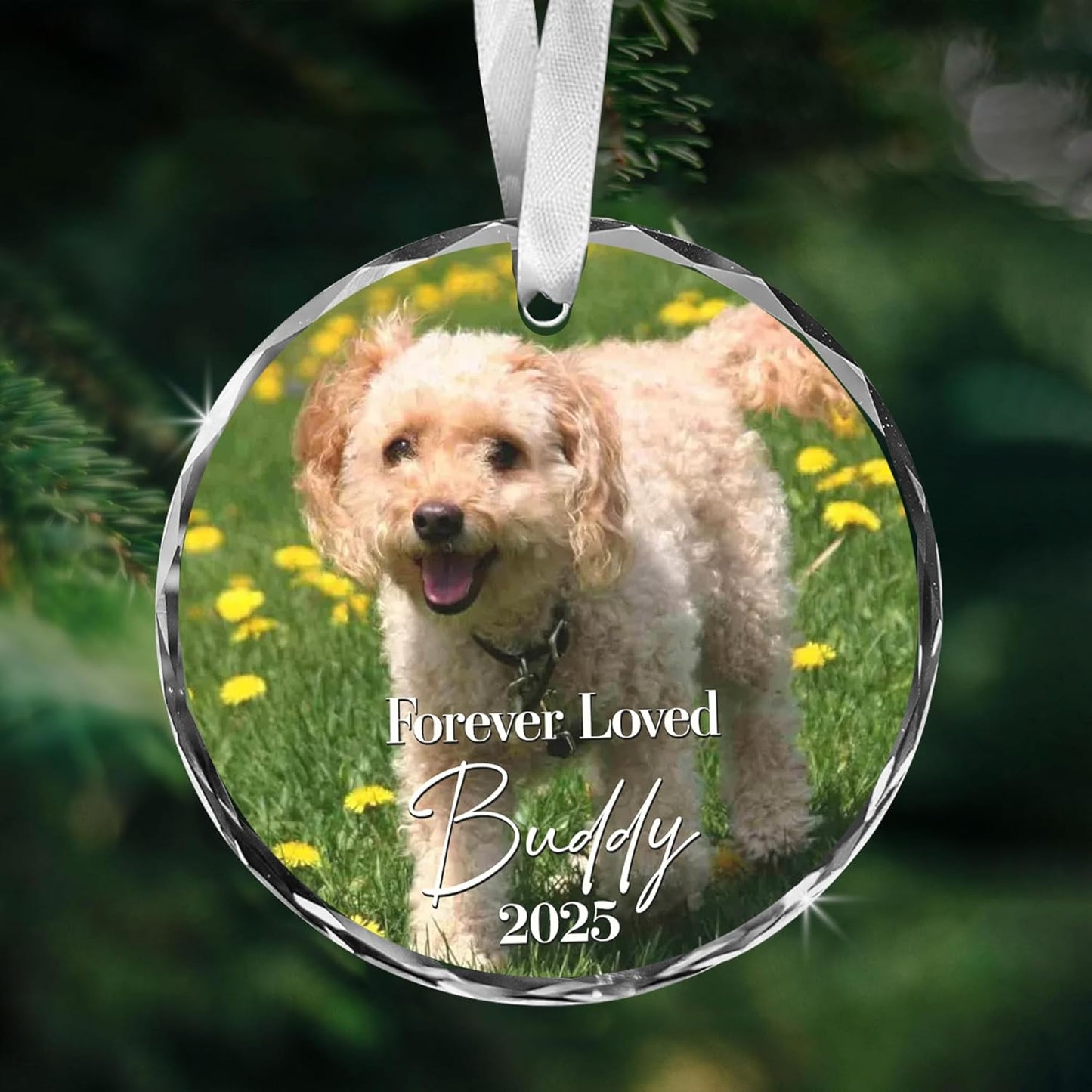 Personalized Cat Memorial Ornament - Custom Photo Keepsake for Christmas, Loss of Pet Gift from Family - Honor Forever Loved Furry Friend - Crystal Glass Ornament 2025
