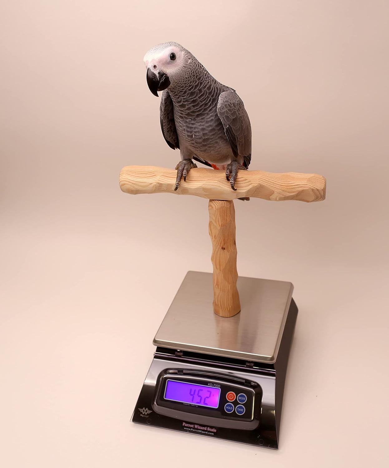 NU Perch Parrot Training Scale