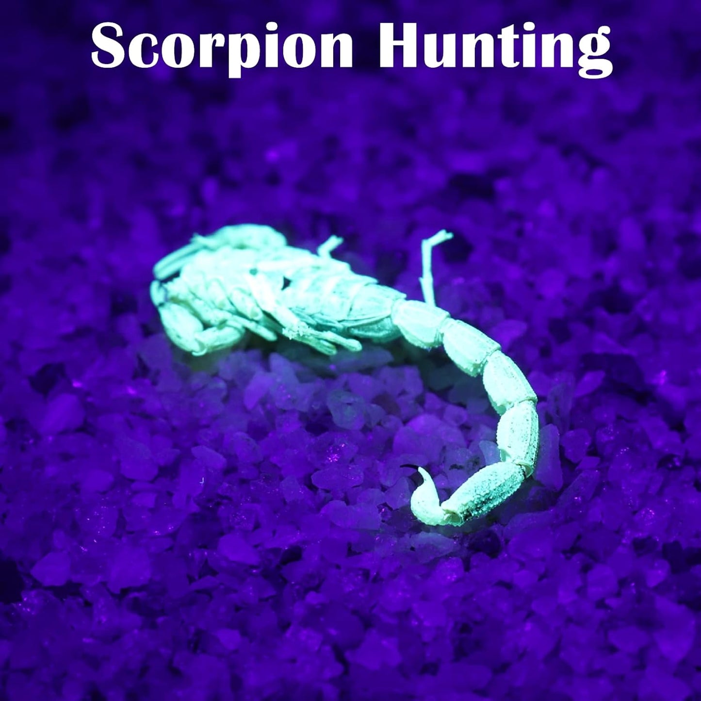 S5 UV Flashlight, Black Light Flashlight with 5 LEDs, for UV Resin Curing, Rockhounding, Pet Urine Detecting, Scorpion Hunting (385NM)