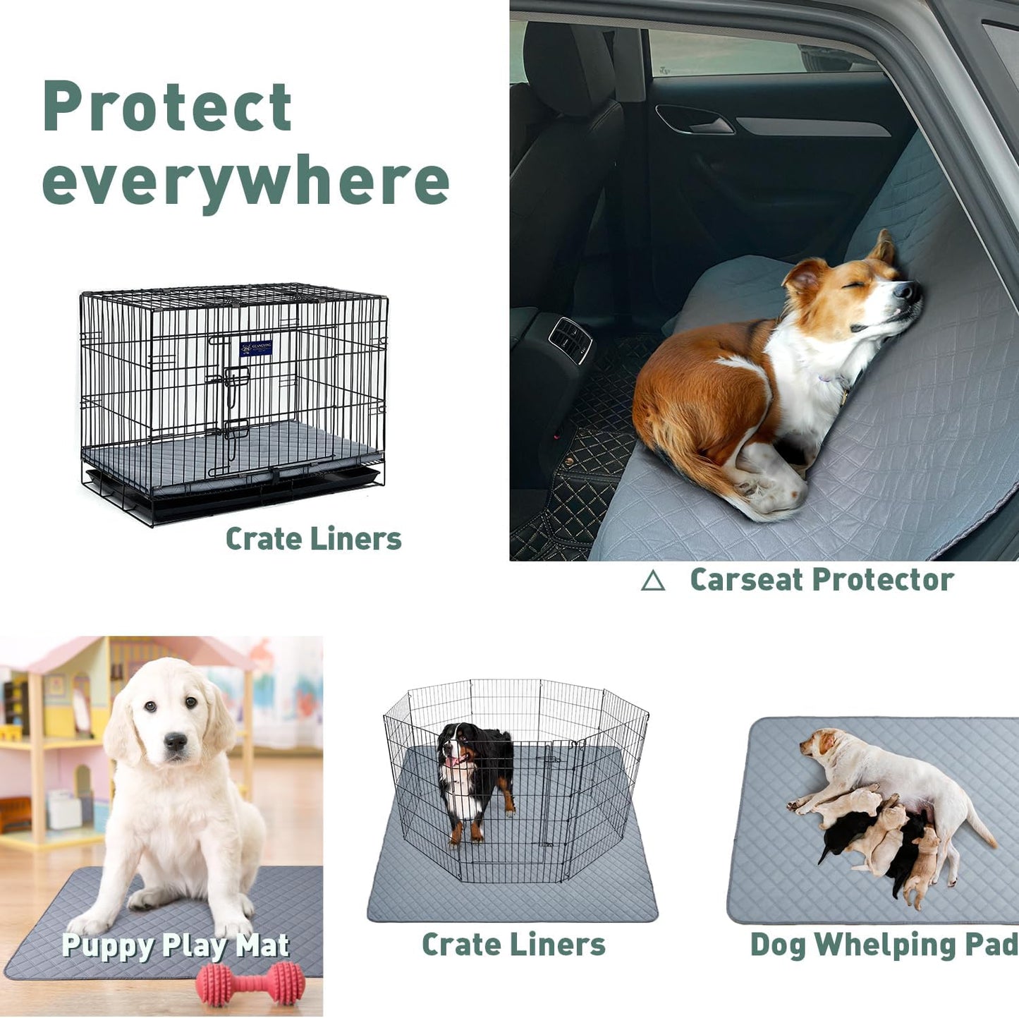 Eterish Reusable Washable Pee Pads for Dogs Small/Large/Extra Large 18'' x 24'' 2 Pack, Absorbent Pet Puppy Dog Training Pads Non-Slip, Waterproof Whelping Potty Pads for Dogs Leak-Proof