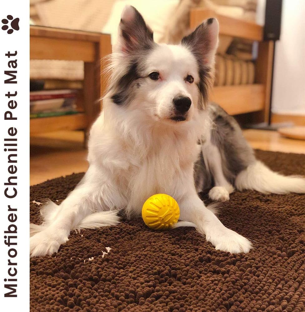 Brown Bathroom Doormat Rugs 20 x 31 Inches Mats Doormat for Entry Home Pet Cat Bed Door Rug Shaggy Chenille Pet Area Rugs Petbed Ultra Soft Water Absorbent Machine Washable Dry (20 x 31 Inches, Brown)