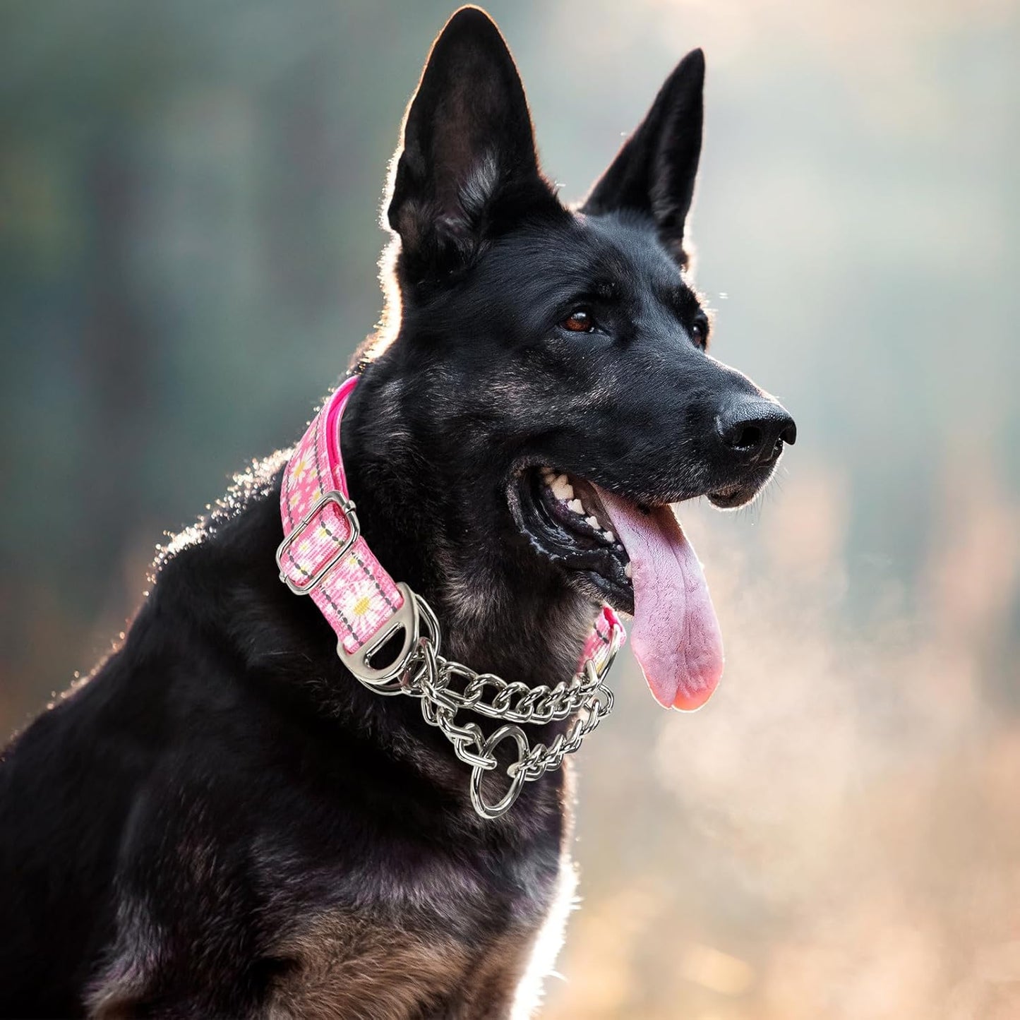 Martingale Collar for Dogs with Pink Daisy,Reflective Nylon Adjustable No Pull Dog Training Chain Collar Training, Walking, Hunting for All Breeds(Pink Daisy M)
