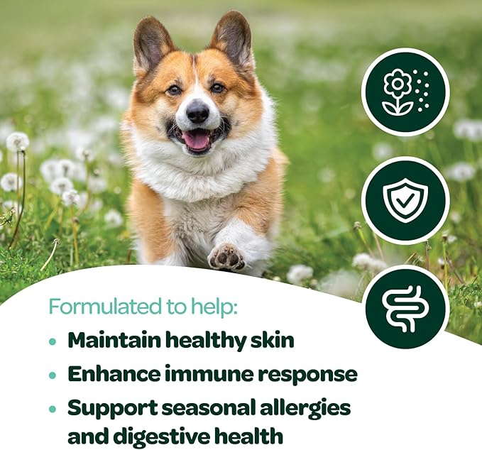 Dog Allergy Chews with Probiotics | Seasonal Allergy Chews for Dogs with Wild Alaskan Salmon Oil & Colostrum | Environmental Dog Allergy Support | NASC Certified & Made in The USA | 60 Chews