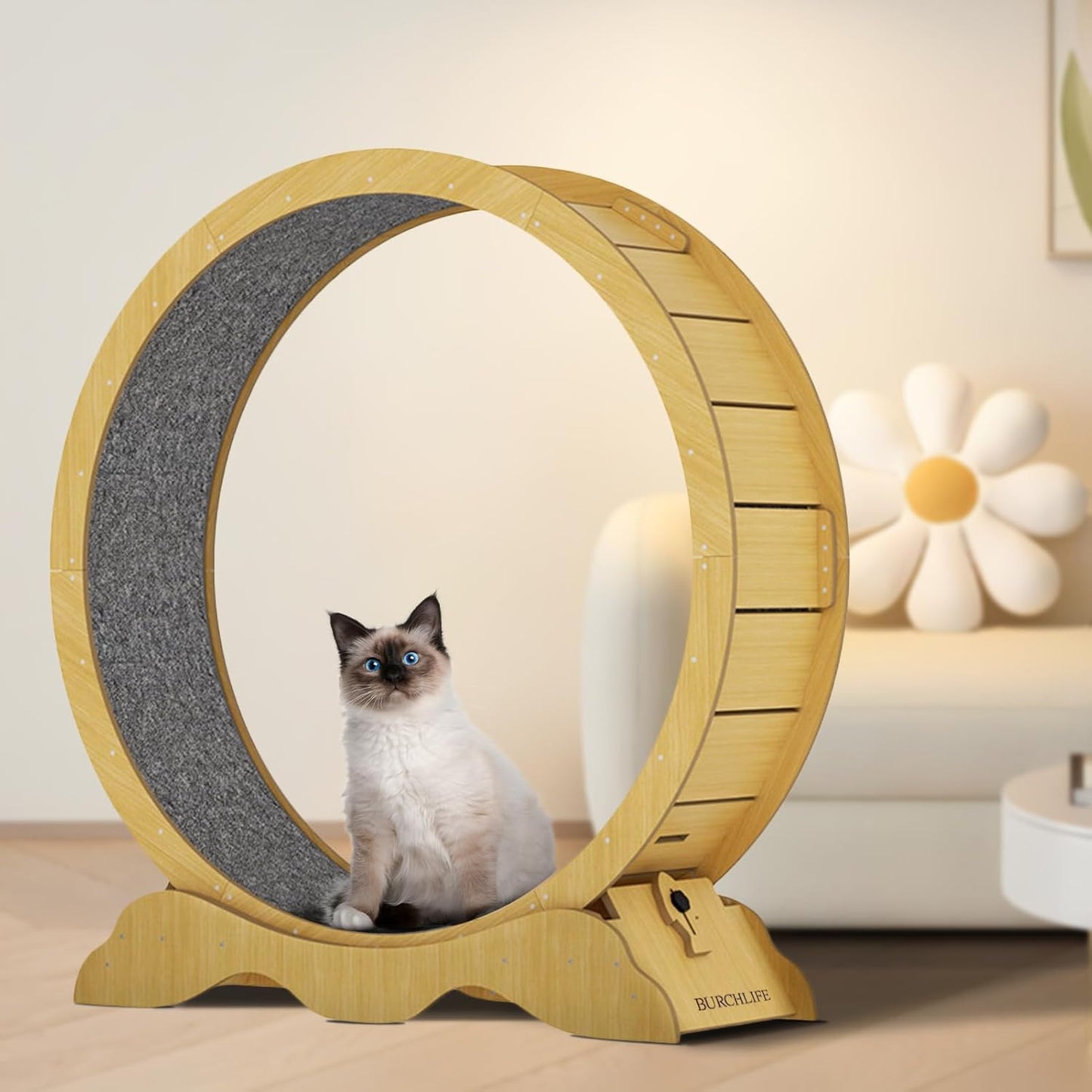 Cat Exercise Wheel 45 Inch Cat Treadmill for Indoor Cats, Running Wheel with Detachable Carpeted Runway, Cats Running Wheel Carpet Suitable for Most Pets Weight Loss and Health (Wood, XL)