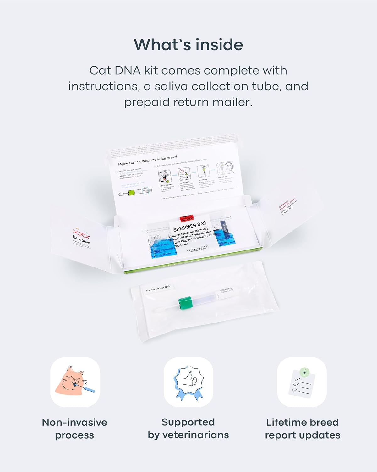 Basepaws Cat Dental Health Test | Provides Risk Scores for Oral Conditions: Periodontal Disease, Bad Breath, Tooth Resorption | Report Includes Personalized Care Recommendations