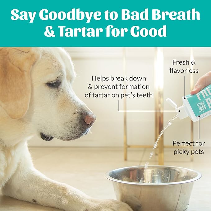 SKOUT'S HONOR Fresher Breath Water Additive, Fresh and Flavorless - VOHC Accepted for Tartar Control, Freshens Breath Fast, No Brushing Required, Great for Both Cats and Dogs, 32 oz